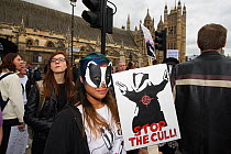 Woman with badger mask, and sign which says 'Stop the Cull' at anti badger cull march, outside the Houses of Parliament, London 1st June 2013