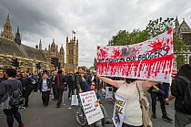 Woman with a sign which says 'Don't slaughter our badgers' at anti badger cull march, outside the Houses of Parliament, London 1st June 2013