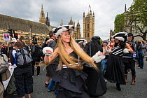 Dancers from the Artful Badger group, dancing in badger costumes, anti badger cull march, near Houses of Parliament, London 1st June 2013.