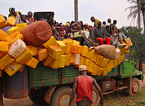 African rainforest penetration and associated pressures. People on truck with water containers. Influx of humans exerts pressure on wildlife and natural resources outside and within protected areas th...