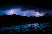 Lightning storm over rainforest clearing 'Dzanga Bai'. Dzanga-Ndoki National Park, Central African Republic.