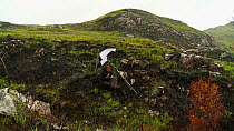 Joe Cornish photographing a fire-damaged landscape in the rain whilst on assignment for 2020vision, near Lochinver, Coigach / Assynt Scottish Wildlife Trust, Sutherland, Highlands, Scotland, UK, June...