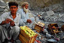 Fruit peddlers selling apples alongside the Karakoram Highway, Pakistan, July 2007.