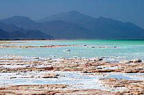 Lake Assal -  Africas lowest point at 515 feet below sea level, with dense concentrations of salt on the shore line, Djibouti, March 2008