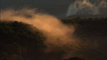 Timelapse of mist moving over and dispersing above cloud forest, Santa Rosa National Park, Costa Rica, 2008.