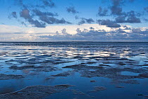 Clouds above Waddensea with people walking at low tide, near Schiermonnikoog, the Netherlands, August 2006