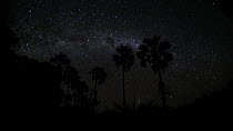 Timelapse of the Milky Way galaxy revolving due to the Earth's rotation, with clouds, footage taken at night using starlight camera technology, Santa Rosa National Park, Costa Rica, 2008.