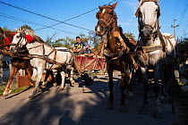 Horse carriages in the village of Isverna. Mehedinti Plateau Geopark, Isverna, Romania, October 2012