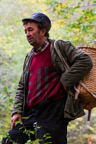 Romanian man with woven basket on his back for carrying edible tree mushrooms - mostly from Common beech (Fagus sylvatica) - picked in the forest close to Baile Herculane, Caras Severin, Carpathians,...
