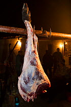 Freshly prepared meat of a female Wild boar (Sus scrofa) that was shot during a driving hunt in the forest area outside the village of Mehadia, Caras Severin, Romania, October 2012