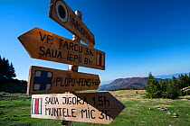 Wooden signposts for hiking trails in Tarcu Mountains Natura 2000 site at the Meteorological Station of Cuntu. Southern Carpathians, Muntii Tarcu, Caras-Severin, Romania, October 2012