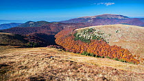 Barren slopes of the Tarcu Mountains Natura 2000 site, close to the peak of Mount Tarcu. Southern Carpathians, Muntii Tarcu, Caras-Severin, Romania, October 2012