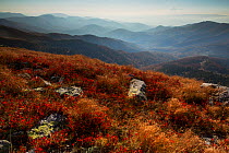 View over the Tarcu Mountains Natura 2000 site. Southern Carpathians, Muntii Tarcu, Caras-Severin, Romania, October 2012