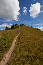 A path from the peaks in Vars Queyras massif, above the park Escreins, France, August 2011