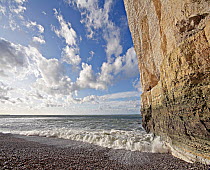Cliff on the coast at Etretat, Normandy, France, November 2009
