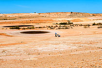Man playing golf on course at Coober Pedy, an outback desert, opal mining town, South Australia, June 2010