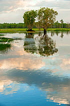 Yellow Waters, South Alligator River, Kakadu National Park, Northern Territory, Australia, June 2010