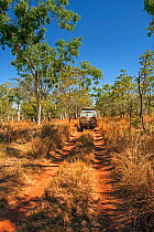 Four wheel drive doing down the track to Parry Creek Farm, Wyndham, Outback, Western Australia