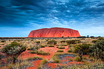 Uluru / Ayers rock, Uluru Kata Tjuta National Park, Northern Territory, Australia