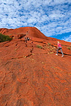 Tourists walking up Uluru / Ayers rock, Uluru Kata Tjuta National Park, Northern Territory, Australia