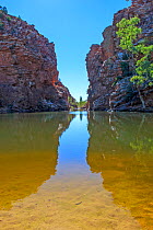 Ellery Creek Big Hole, West MacDonnell Ranges, Alice Springs, Northern Territory, Australia