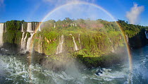 RF- Rainbow over Iguasu Falls, on the Iguasu River, Brazil / Argentina border, from the Brazilian side. State of Parana, Brazil. September 2012. (This image may be licensed either as rights managed or...
