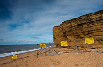 A closed section of beach at Burton Bradstock, due to collapse of the Jurassic Bridport Sandstone cliffs, Dorset, March 2012