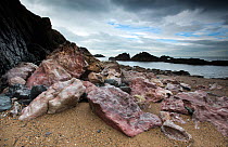 Pink Pre-Cambrian Quartzite boulders on a shingle beach, Llanddwyn Island, Anglesey, Wales, August 2012