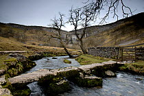 A view of Malham Cove, with a stone footbridge in the foreground. Malham, Yorkshire.
