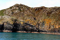 A thrust fault in Cambrian and pre-cambrian age sediments, Aberdarron, Lleyn, Wales, Novemeber 2012