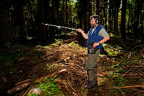Pete Turner radio tracking Pine Martens (Martes martes) Pine marten research by the Waterford Institute of Technology, Republic of Ireland, August 2008
