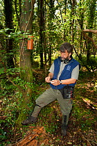Pete Turner collects Pine marten (Martes martes) hair samples. Using baited plastic tubes they collect small samples of hair for DNA analysis to study the interrelatedness and distribution of pine mar...
