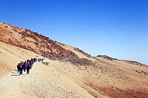 Group of people walking along a track up Mount Teide, Teide National Park, Tenerife, Canary Islands, Spain, March 2012.