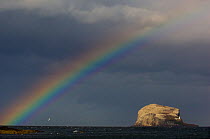 Rainbow and storm clouds over Bass Rock in the distance, which is the breeding ground for 140,000 gannets, Firth of Forth, Scotland, UK, May