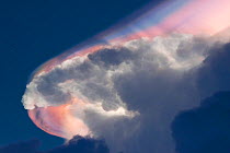 Cloud iridescence forming above a cumulonimbus cloud, caused by light refraction through individual water droplets and ice crystals at high altitude, Sierra Leone.