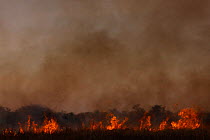 Grassland fire, South Luangwa National Park, Zambia.