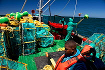 The crew of the James Archer, Oceana fisheries, throws baited lobster traps into the ocean to catch West coast rock lobster (Jasus lalandii) Saldanha Bay and St. Helena Bay, Western Cape, South Africa...