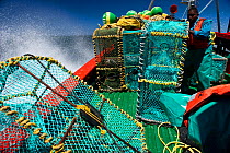 Baited lobster traps to catch West coast rock lobster (Jasus lalandii) Saldanha Bay and St. Helena Bay, Western Cape, South Africa.