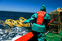 The crew of the James Archer, Oceana fisheries, throw baited lobster traps into the ocean to catch West coast rock lobster (Jasus lalandii) in Saldanha Bay and St. Helena Bay, Western Cape, South Afri...