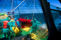 The crew of the James Archer, Oceana fisheries, throws baited lobster traps into the ocean to catch West coast rock lobster (Jasus lalandii). View from cabin window, Saldanha Bay and St. Helena Bay, W...