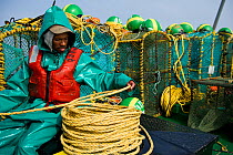 Fishing for West coast rock lobster (Jasus lalandii). Crew lowering lobster traps, in Saldanha Bay and St. Helena Bay, Western Cape, South Africa.