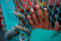 Fishing for West coast rock lobster (Jasus lalandii) aboard the James Archer (Oceana Fisheries). Crew member holding lobster trap, in Saldanha Bay and St. Helena Bay, Western Cape, South Africa.