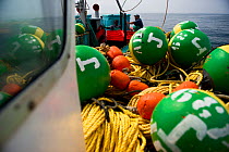 Fishing for West coast rock lobster (Jasus lalandii) aboard the James Archer (Oceana Fisheries). Brightly colored buoys used to mark trap locations, in Saldanha Bay and St. Helena Bay, Western Cape, S...
