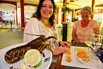 West coast rock lobster (Jasus lalandii) presented live on a plate for the customer to chose, Cape Town Fish Market, restaurant, Victoria and Alfred Waterfront, Cape Town, South Africa.