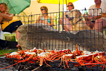 West coast rock lobsters (Jasus lalandii), which were hand caught by free divers in the morning are being cooked on a bbq in the free divers' back garden. Betty's Bay, Western Cape, South Africa.