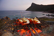 West coast rock lobsters (Jasus lalandii) caught by recreational fishers, Kommetjie, South Africa.  3rd Prize in the Man and Nature Category of the Melvita Nature Images Awards competition 2013
