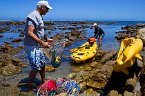 West coast rock lobster (Jasus lalandii) recreational fishers, Kommetjie, Western Cape, South Africa