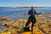 Man fishing for West coast rock lobster (Jasus lalandii)  with wooden pole and string of limpets as bait. Kommetjie, South Africa
