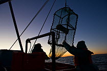West coast rock lobster (Jasus lalandii) fishing boat James Archer (Oceana fisheries) pulling up lobster traps, the St Helena Bay harbour before the break of dawn. St. Helena Bay, Western Cape, South...