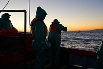 West coast rock lobster (Jasus lalandii) fishing boat James Archer (Oceana fisheries) crew pulling up lobster traps, the St Helena Bay harbour before the break of dawn. St. Helena Bay, Western Cape, S...